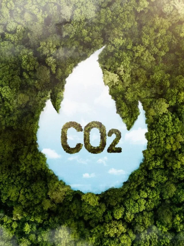 co2, meio ambiente, sustentabilidade, combustivel ecológico, eco, ar limpo