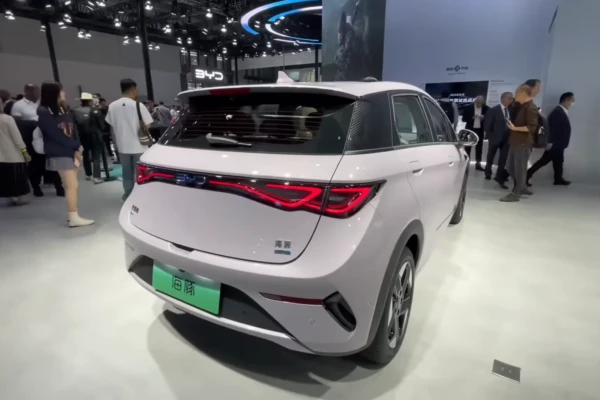 novo byd dolphin 2026